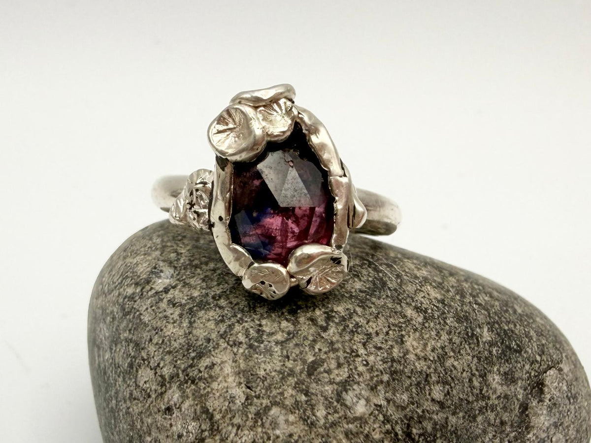Rockpool Collection