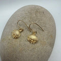 9ct Gold Gower Cockle Shell - earrings with coral detail