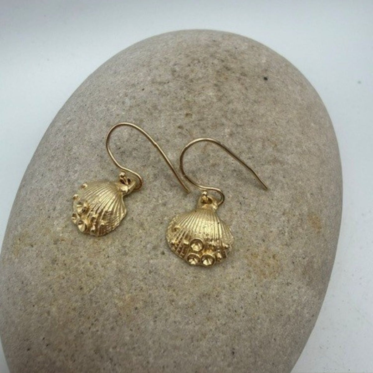 9ct Gold Gower Cockle Shell - earrings with coral detail