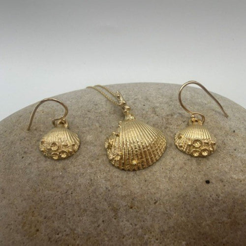 9ct Gold Gower Cockle Shell - earrings with coral detail