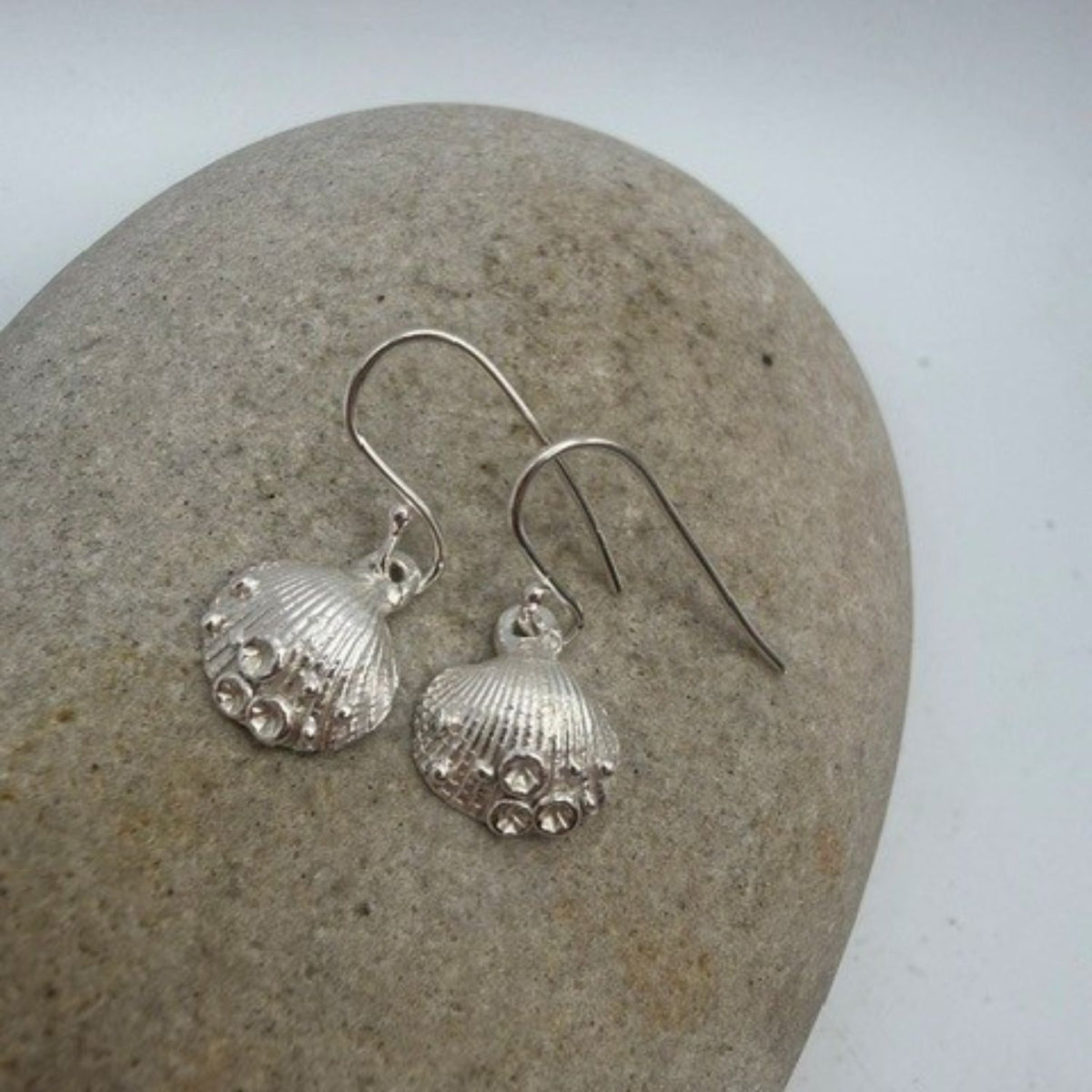 Sterling Silver Gower Cockle Shell earrings with coral detail